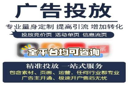 跨行业SEM广告投放的多样化案例分析